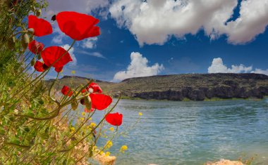 Abandoned old town view in Halfeti Town of Sanliurfa Province clipart