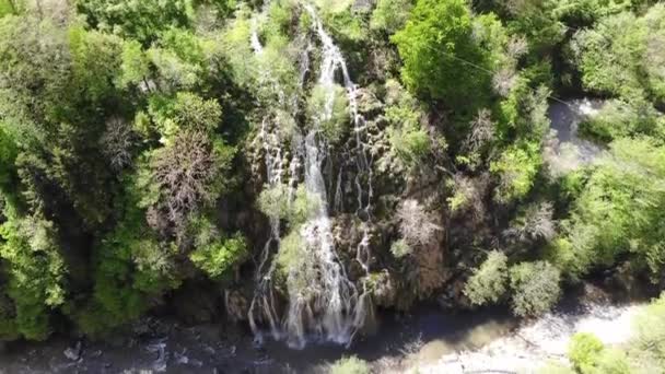 Wodospad Kuzalan Prowincji Karadeniz Dereli Giresun Turcja — Wideo stockowe