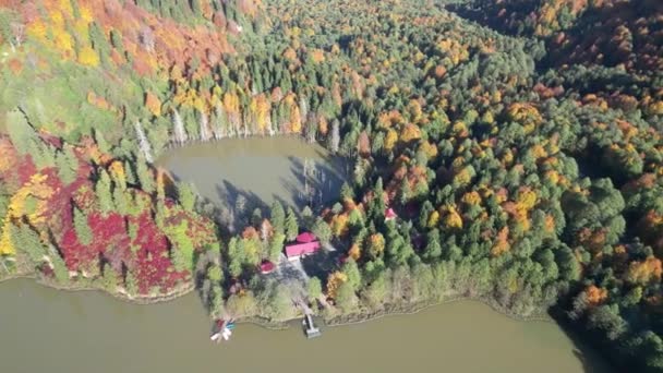 Höstfärger Träden Panoramautsikt Över Artvin Borcka Karagl Avstånd Sjön Och — Stockvideo