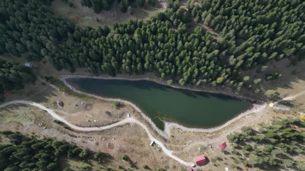 Artvin Provincia Savsat Distrito Peces Lago — Vídeo de stock