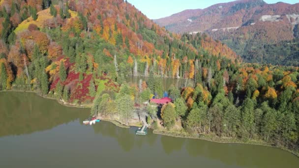 Höstfärger Träden Panoramautsikt Över Artvin Borcka Karagl Avstånd Sjön Och — Stockvideo