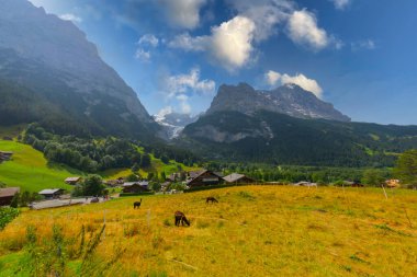 Ünlü Köyü Grindelwald İsviçre Alpleri'nde 