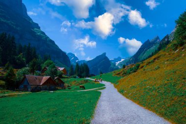 Alplerdeki Seealpsee 'de yürüyüş.