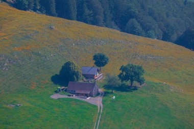 Alplerdeki Seealpsee 'de yürüyüş.