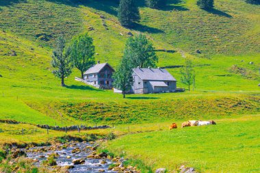 Alplerdeki Seealpsee 'de yürüyüş.
