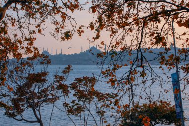 İstanbul tarihi yarımadasının tarihi görünümü.