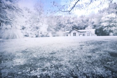 Dünyanın en güzel yerlerinden kızıl ötesi fotoğraflar çekildi.