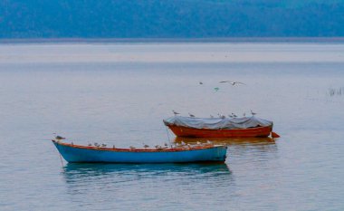 Ulubat Gölü, Golyazi, Bursa, Türkiye 'deki balıkçı tekneleri, büyük ağaç gölleri, gün batımı manzarası