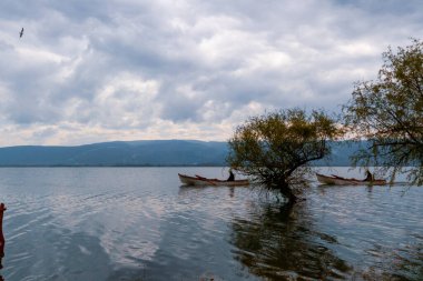 Ulubat Gölü, Golyazi, Bursa, Türkiye 'deki balıkçı tekneleri, büyük ağaç gölleri, gün batımı manzarası