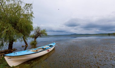 Ulubat Gölü, Golyazi, Bursa, Türkiye 'deki balıkçı tekneleri, büyük ağaç gölleri, gün batımı manzarası