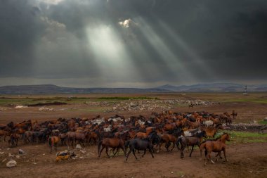 güzel manzara ve sultanmarshes (kuş cenneti) yanındaki erciyes Dağı, kayseri