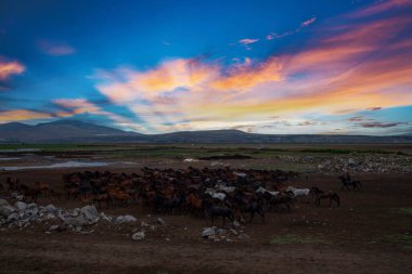 güzel manzara ve sultanmarshes (kuş cenneti) yanındaki erciyes Dağı, kayseri