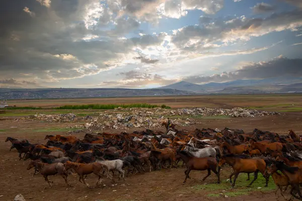 güzel manzara ve sultanmarshes (kuş cenneti) yanındaki erciyes Dağı, kayseri