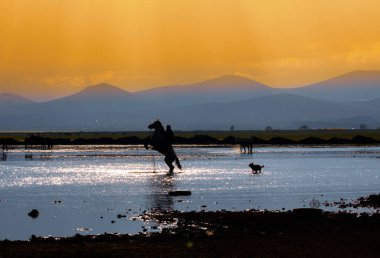 güzel manzara ve sultanmarshes (kuş cenneti) yanındaki erciyes Dağı, kayseri