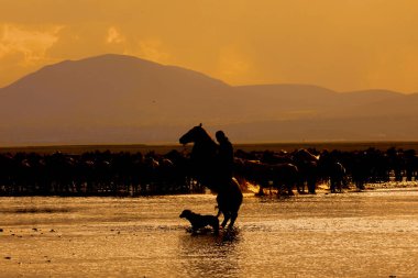 güzel manzara ve sultanmarshes (kuş cenneti) yanındaki erciyes Dağı, kayseri