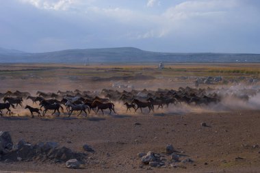 güzel manzara ve sultanmarshes (kuş cenneti) yanındaki erciyes Dağı, kayseri