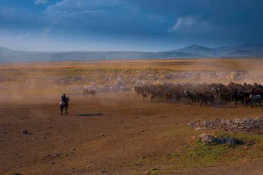 güzel manzara ve sultanmarshes (kuş cenneti) yanındaki erciyes Dağı, kayseri
