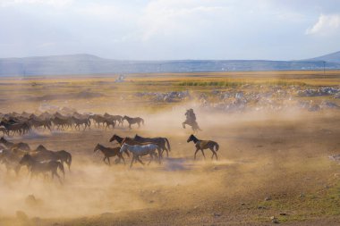 güzel manzara ve sultanmarshes (kuş cenneti) yanındaki erciyes Dağı, kayseri
