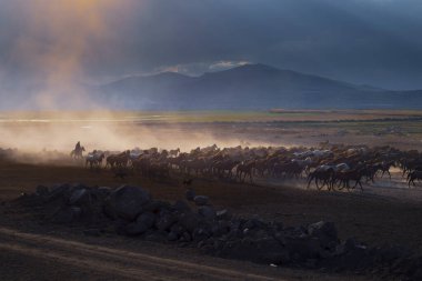 güzel manzara ve sultanmarshes (kuş cenneti) yanındaki erciyes Dağı, kayseri