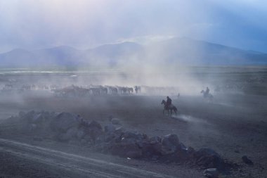 güzel manzara ve sultanmarshes (kuş cenneti) yanındaki erciyes Dağı, kayseri