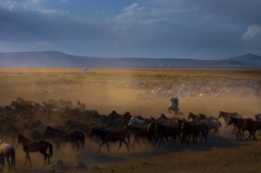 güzel manzara ve sultanmarshes (kuş cenneti) yanındaki erciyes Dağı, kayseri