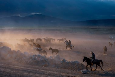 güzel manzara ve sultanmarshes (kuş cenneti) yanındaki erciyes Dağı, kayseri