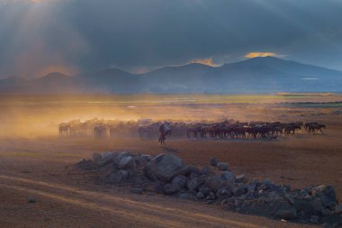 güzel manzara ve sultanmarshes (kuş cenneti) yanındaki erciyes Dağı, kayseri