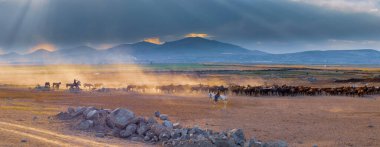 güzel manzara ve sultanmarshes (kuş cenneti) yanındaki erciyes Dağı, kayseri