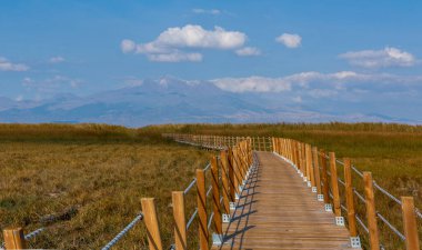 güzel manzara ve sultanmarshes (kuş cenneti) yanındaki erciyes Dağı, kayseri