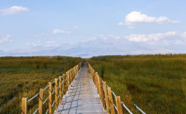 güzel manzara ve sultanmarshes (kuş cenneti) yanındaki erciyes Dağı, kayseri