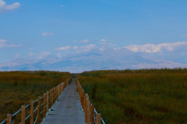 güzel manzara ve sultanmarshes (kuş cenneti) yanındaki erciyes Dağı, kayseri