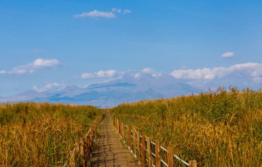 güzel manzara ve sultanmarshes (kuş cenneti) yanındaki erciyes Dağı, kayseri