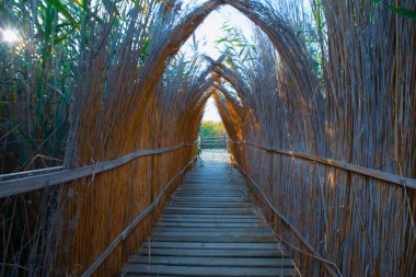 güzel manzara ve sultanmarshes (kuş cenneti) yanındaki erciyes Dağı, kayseri