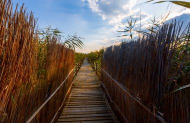 güzel manzara ve sultanmarshes (kuş cenneti) yanındaki erciyes Dağı, kayseri