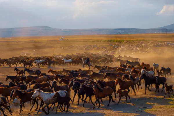 güzel manzara ve sultanmarshes (kuş cenneti) yanındaki erciyes Dağı, kayseri