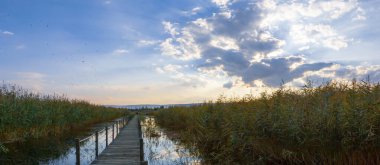 güzel manzara ve sultanmarshes (kuş cenneti) yanındaki erciyes Dağı, kayseri