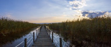 güzel manzara ve sultanmarshes (kuş cenneti) yanındaki erciyes Dağı, kayseri