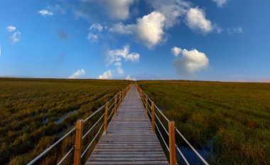 güzel manzara ve sultanmarshes (kuş cenneti) yanındaki erciyes Dağı, kayseri