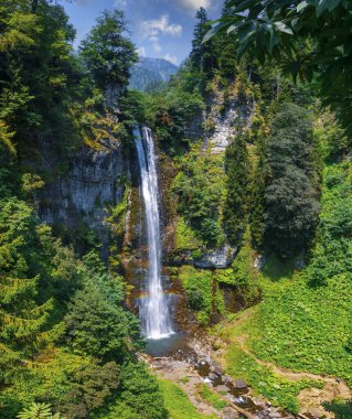 Maral Şelalesi. Maral Stream 'deki şelale, Artvin' in Borcka ilçesinin 63 metre yüksekliğinden düştü.