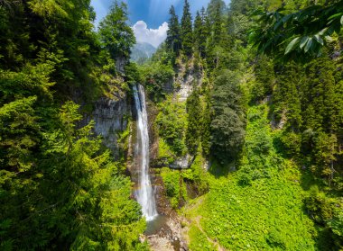Maral Waterfall. The waterfall on the Maral Stream falls from a height of 63 m. Borcka district, Artvin, Turkey clipart