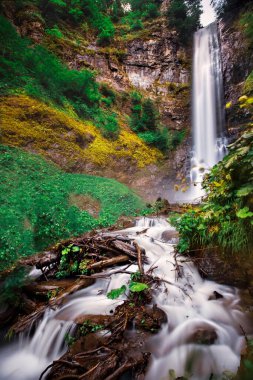 Maral Şelalesi. Maral Stream 'deki şelale, Artvin' in Borcka ilçesinin 63 metre yüksekliğinden düştü.