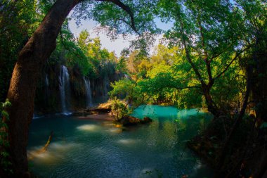 Beautiful waterfalls over emerald water in deep green forest in Kursunlu Natural Park, Antalya, Turkey clipart
