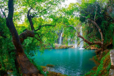 Beautiful waterfalls over emerald water in deep green forest in Kursunlu Natural Park, Antalya, Turkey