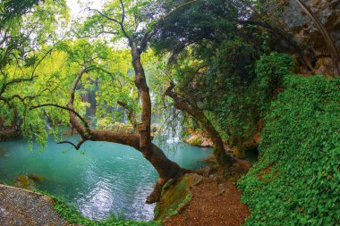 Beautiful waterfalls over emerald water in deep green forest in Kursunlu Natural Park, Antalya, Turkey