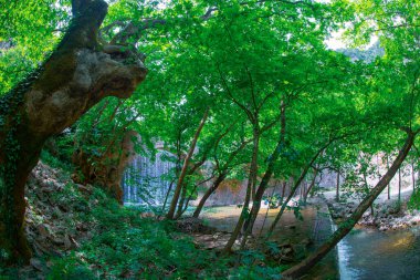 Eski taş, kemerli köprü, Palaiokaria, Trikala vilayeti, Thessaly, Yunanistan 'daki iki şelale arasında.