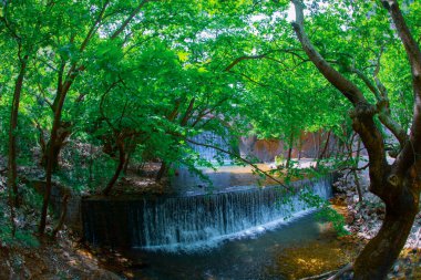 Eski taş, kemerli köprü, Palaiokaria, Trikala vilayeti, Thessaly, Yunanistan 'daki iki şelale arasında.
