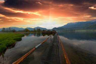 Almanya, Bavyera, Kochelsee Gölü 'nde sisli bir sabah.