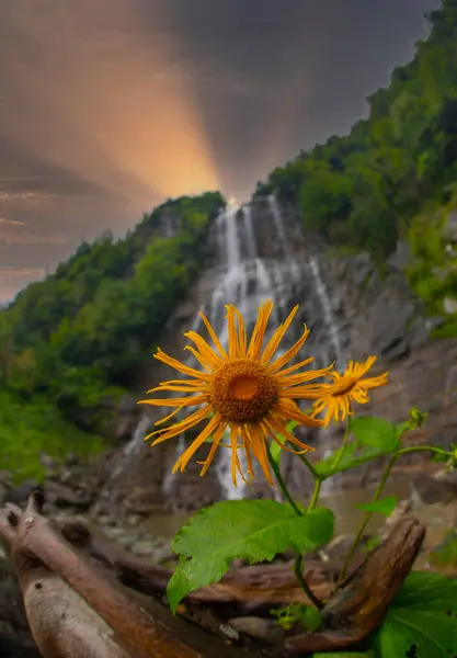 Mencuna Waterfall Most Spectacular Waterfalls Eastern Black Sea Artin Turkey Royalty Free Stock Images
