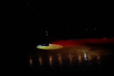 Dervişler Mevlana için sahnede gösteri yapıyorlar