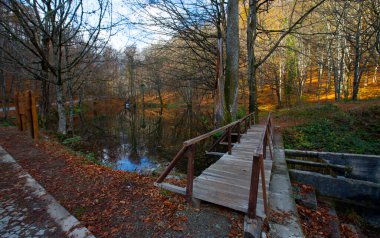 Igneada Longoz ormanları Milli Parkı, Türkiye